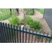 Black Blade Fences - Order ready in 48 hours